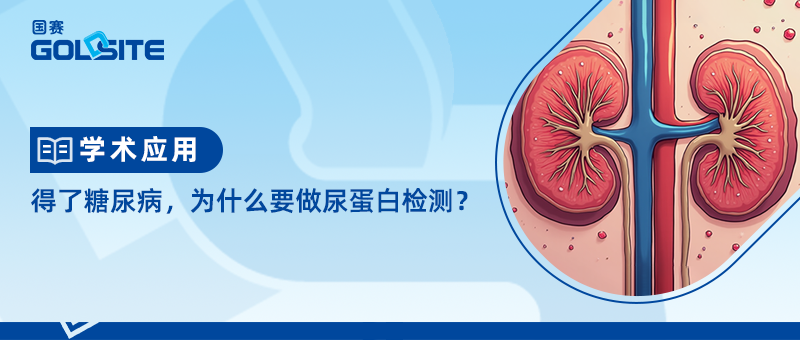 得了糖尿病，为什么要做尿蛋白检测？